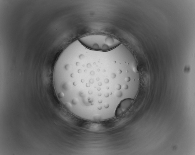 X0000101700507200807101349