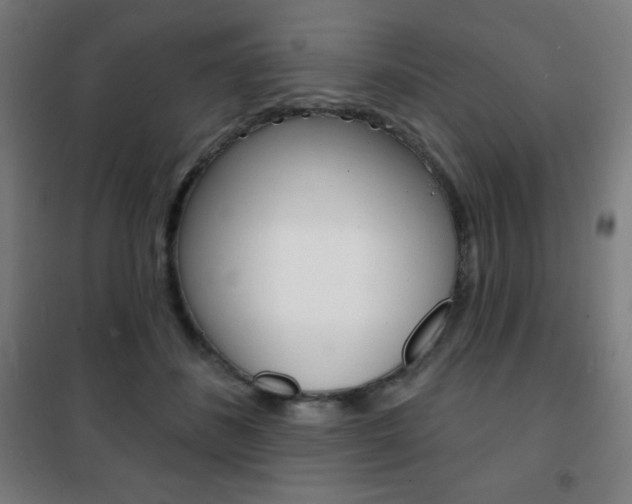 X0000101700508200807101349