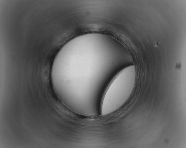 X0000101700509200807101349