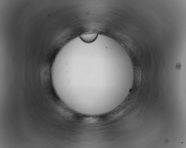X0000101700511200807101349