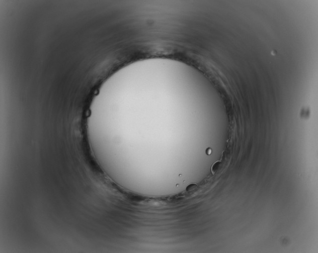 X0000101700512200807101349