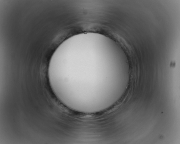 X0000101700513200807101349