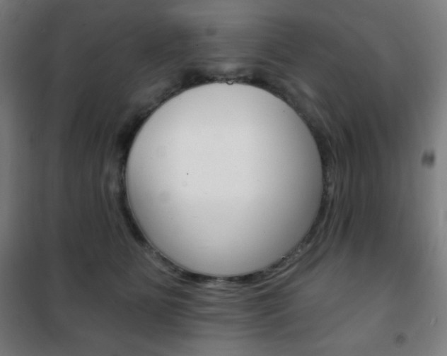 X0000101700515200807101349