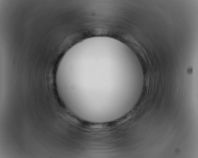 X0000101700516200807101349
