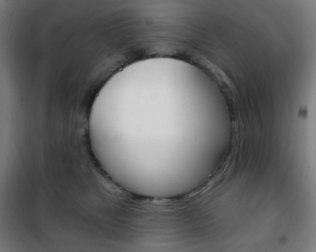 X0000101700517200807101349