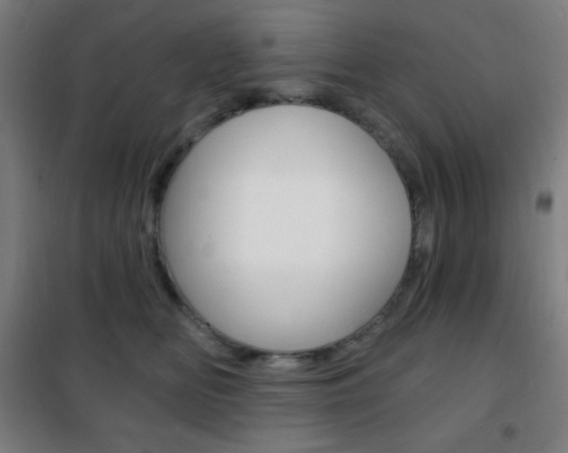 X0000101700518200807101349