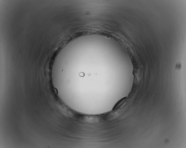 X0000101700520200807101349