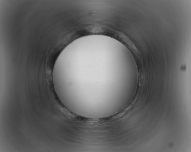 X0000101700521200807101349