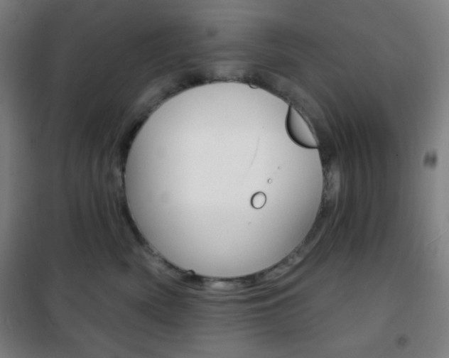 X0000101700522200807101349