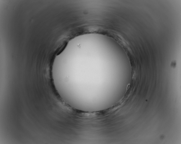 X0000101700524200807101349
