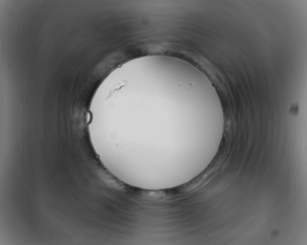 X0000101700525200807101349