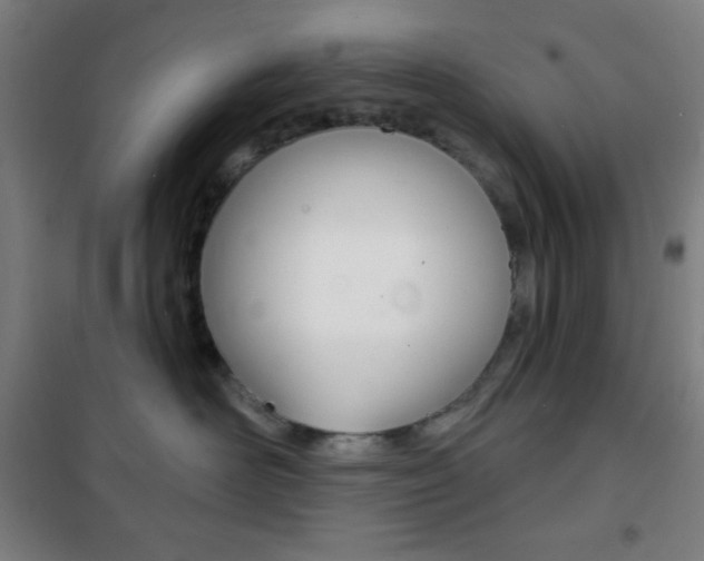 X0000101700526200807101349