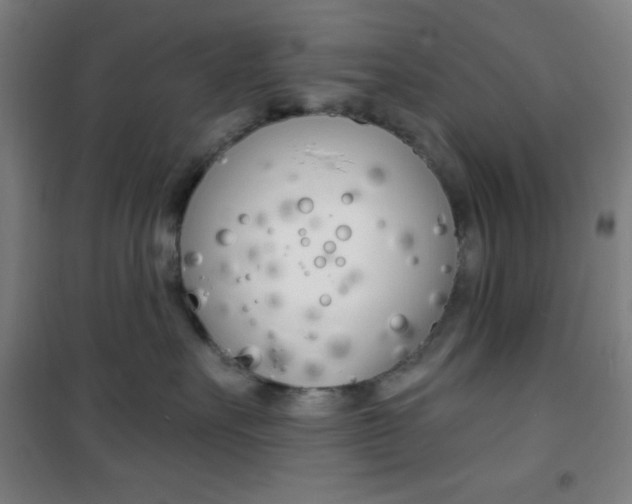 X0000101700527200807101349