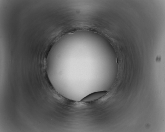 X0000101700528200807101349