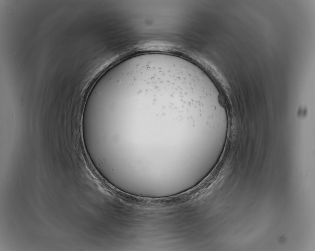 X0000101700529200807101348