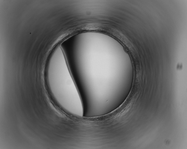 X0000101700530200807101348
