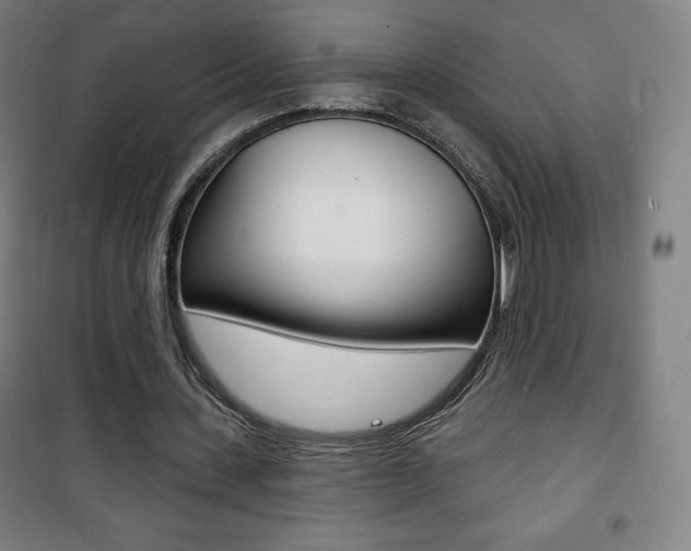 X0000101700531200807101348