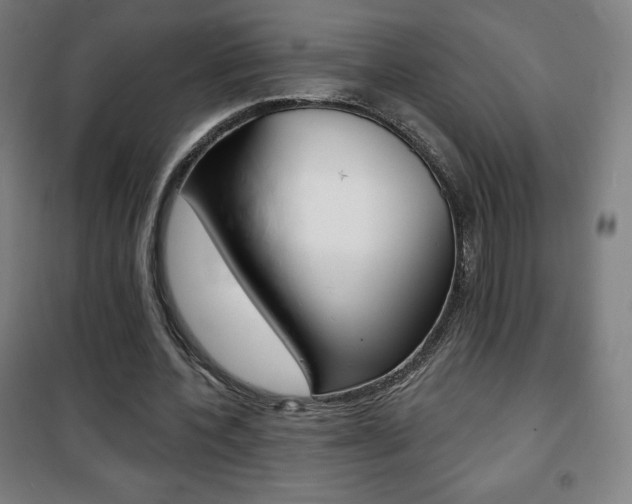 X0000101700532200807101348