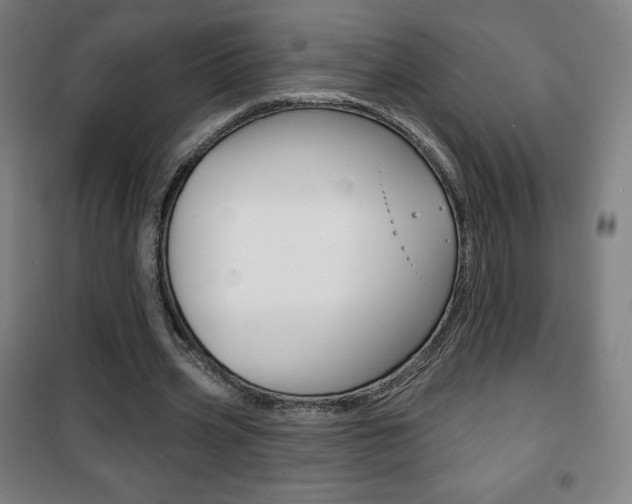X0000101700533200807101348