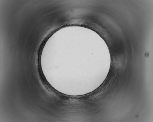 X0000101700534200807101348