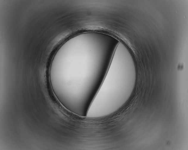 X0000101700535200807101348