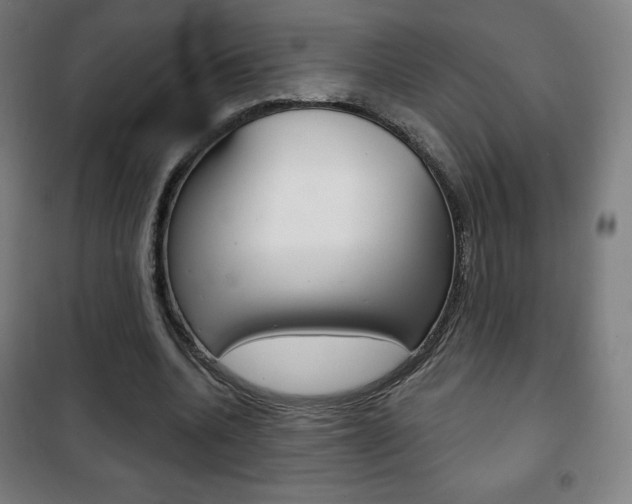X0000101700536200807101348