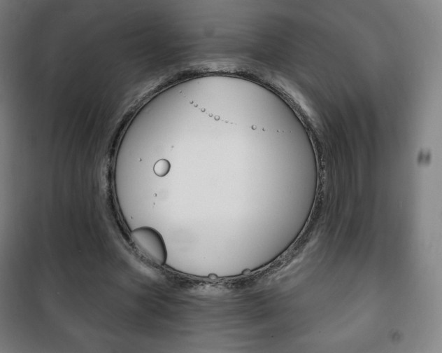 X0000101700537200807101348