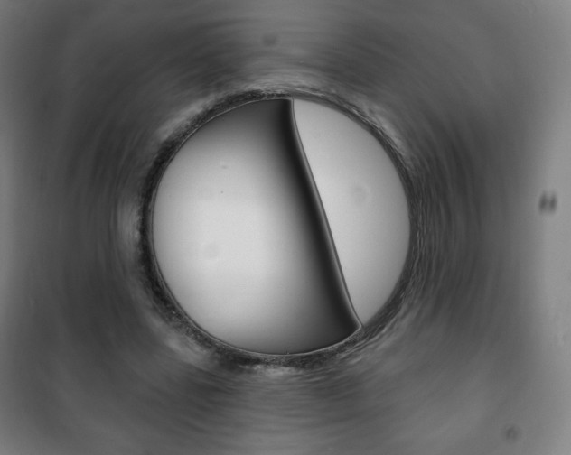 X0000101700539200807101348