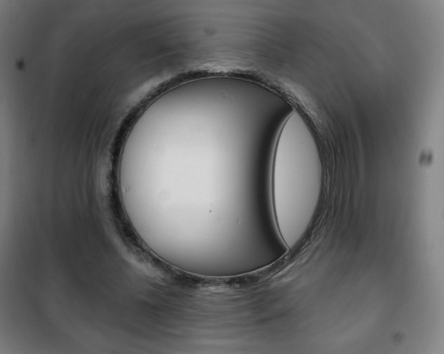 X0000101700540200807101348