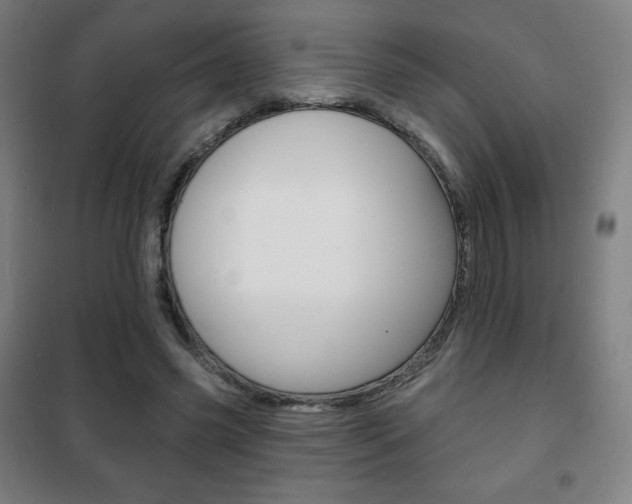 X0000101700541200807101348