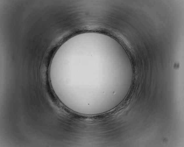 X0000101700542200807101348