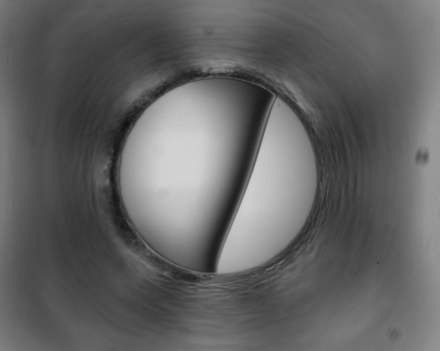 X0000101700543200807101348