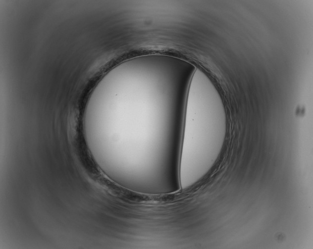 X0000101700544200807101348