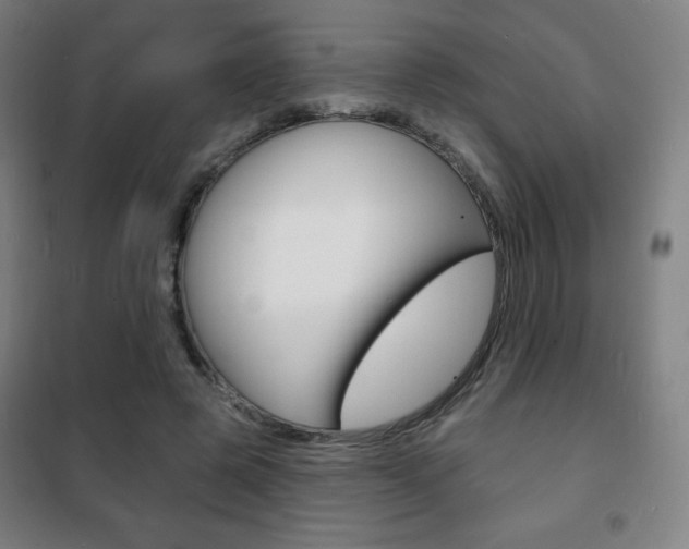 X0000101700545200807101348