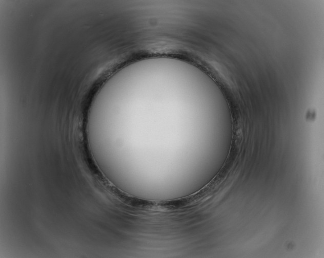 X0000101700547200807101348