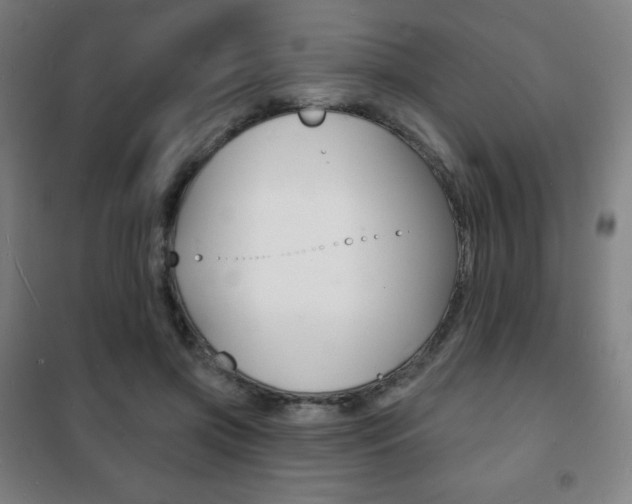 X0000101700549200807101348