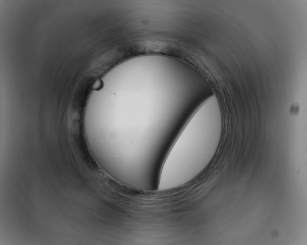 X0000101700551200807101348