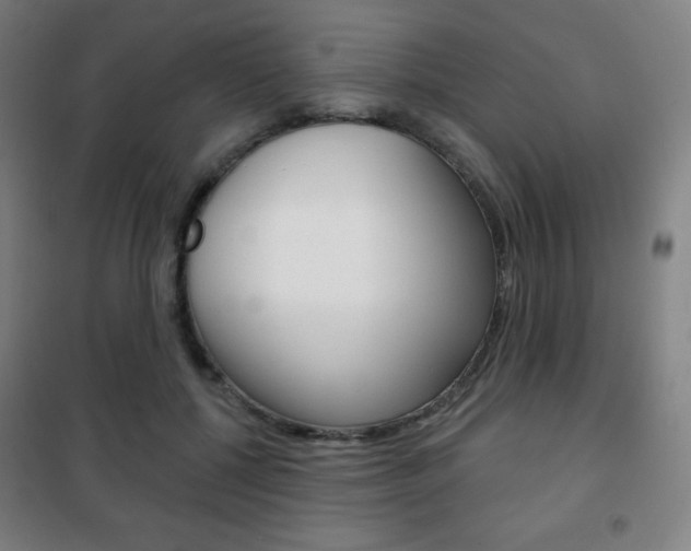 X0000101700552200807101348