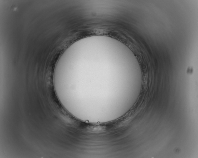 X0000101700553200807101348