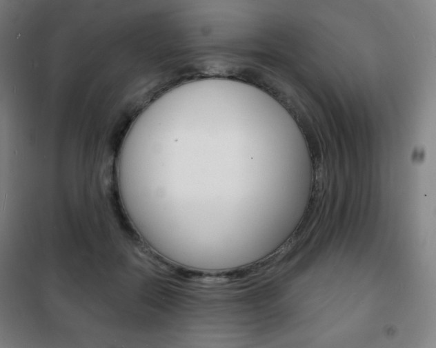 X0000101700554200807101348