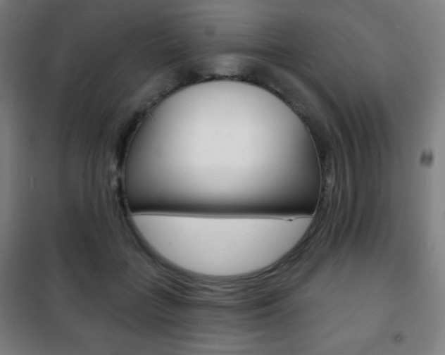 X0000101700555200807101348