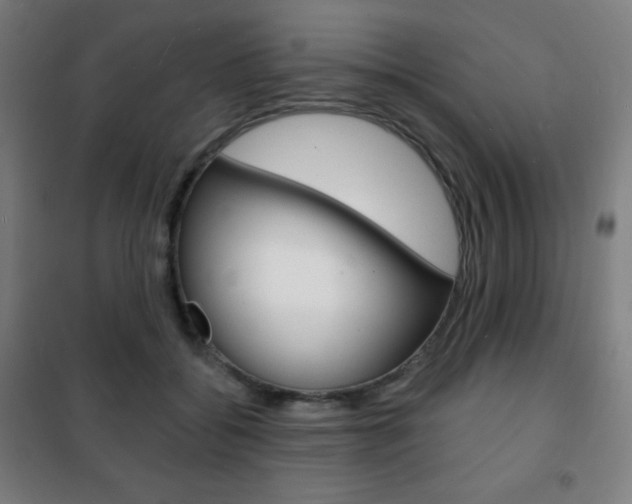 X0000101700556200807101348
