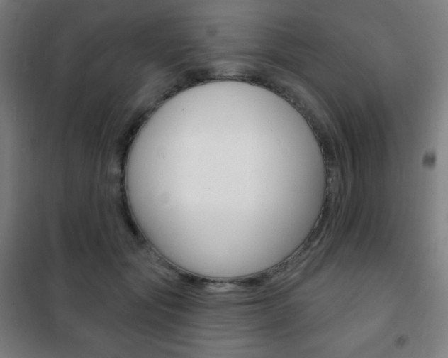 X0000101700557200807101348
