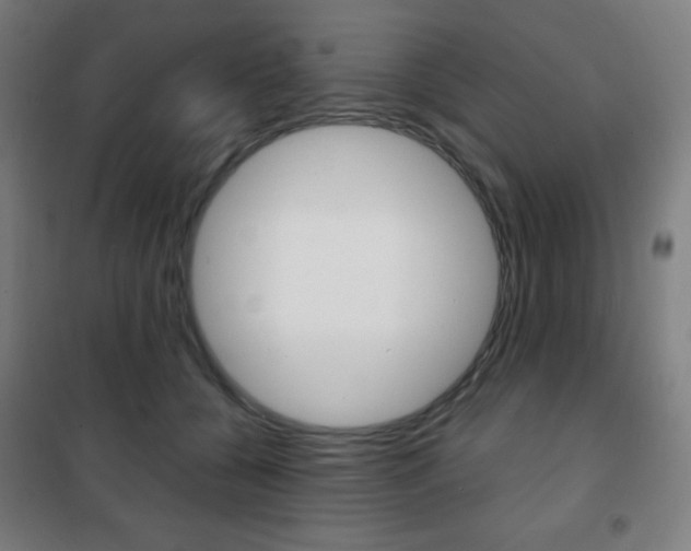 X0000101700560200807101348