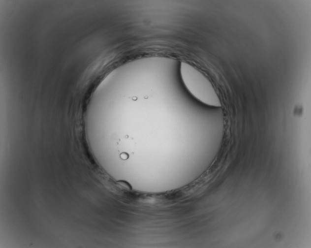 X0000101700561200807101348