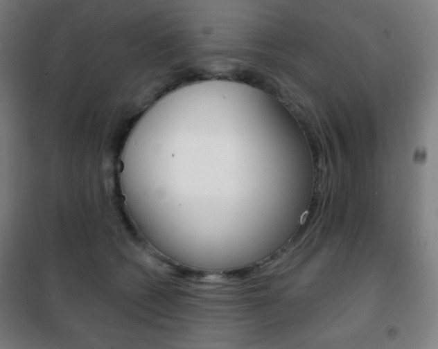 X0000101700562200807101348