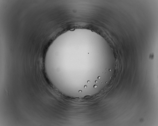 X0000101700564200807101348
