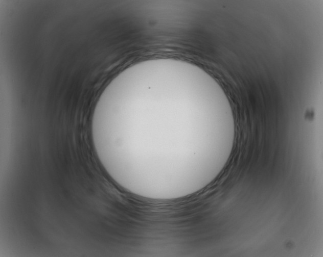 X0000101700566200807101348