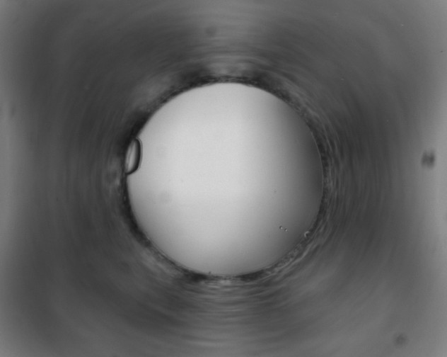 X0000101700567200807101348