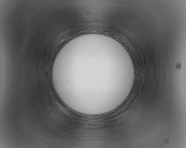 X0000101700568200807101348